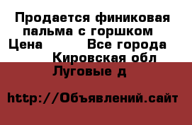 Продается финиковая пальма с горшком › Цена ­ 600 - Все города  »    . Кировская обл.,Луговые д.